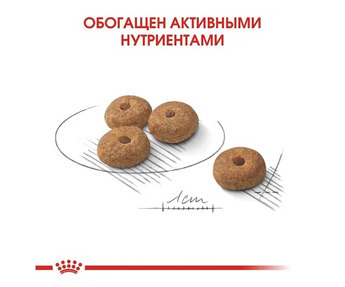 Сухой Корм Royal Canin (Роял Канин) Для Стерилизованных Собак Мелких Пород MINI STERILISED 3кг
