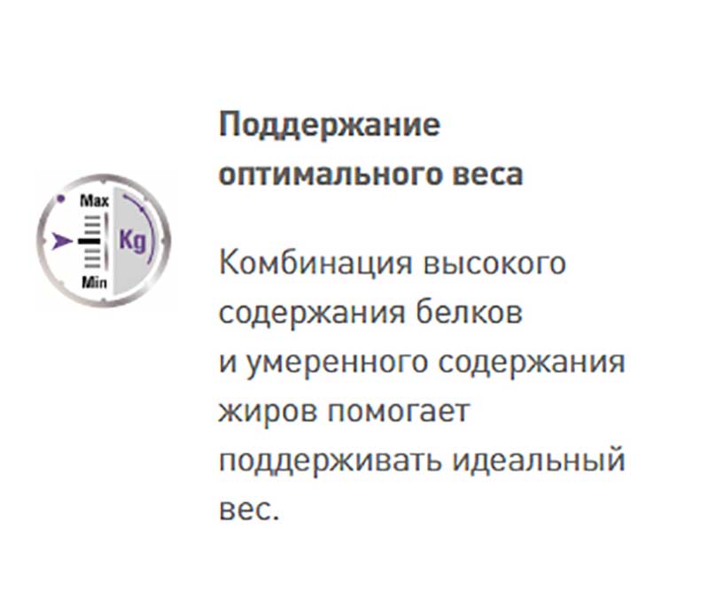 Сухой Корм Royal Canin (Роял Канин) Для Стерилизованных Собак Мелких Пород MINI STERILISED 3кг