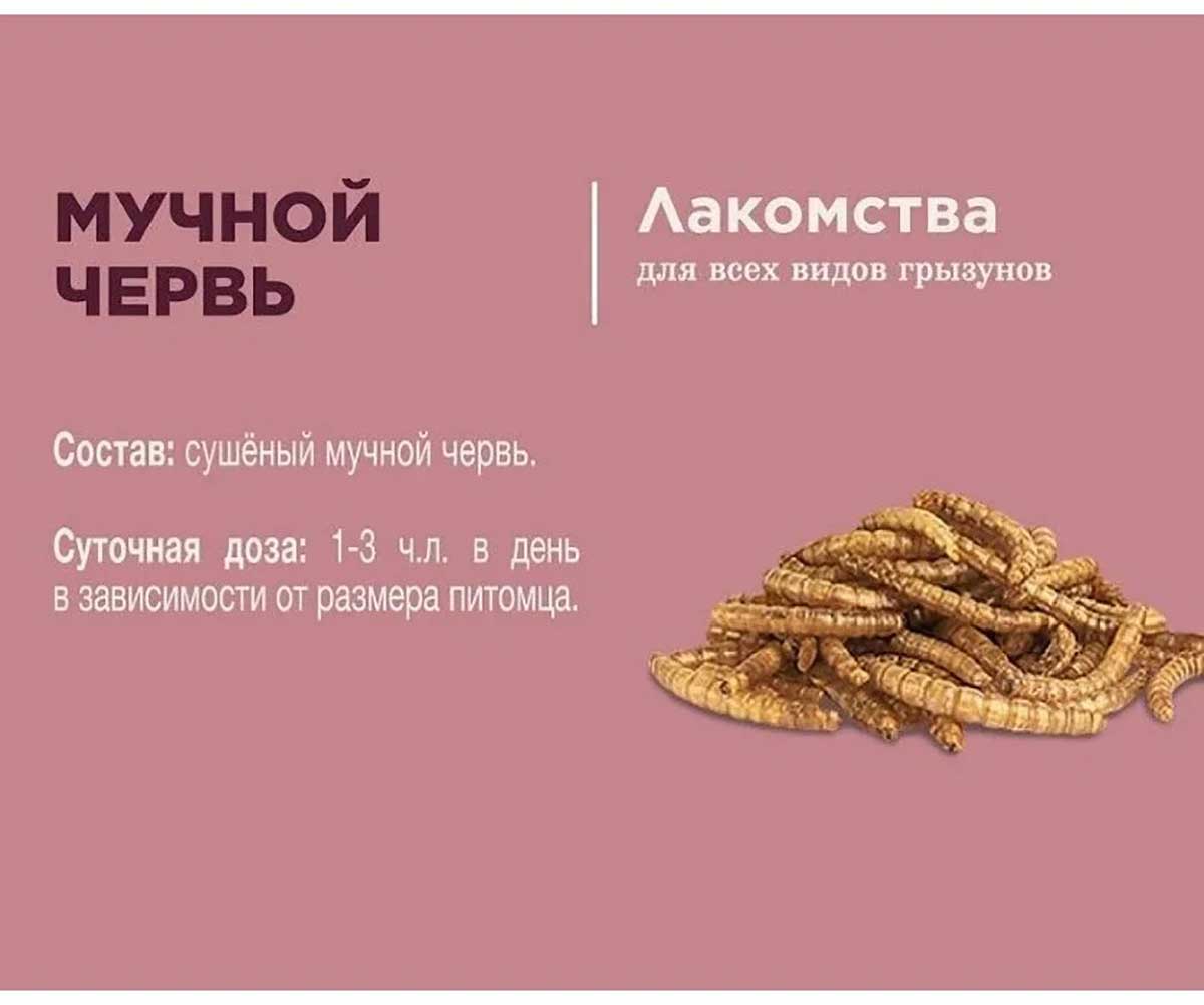 Little One (Литтл Ван) Мучной Червь Лакомство Для Грызунов 70г