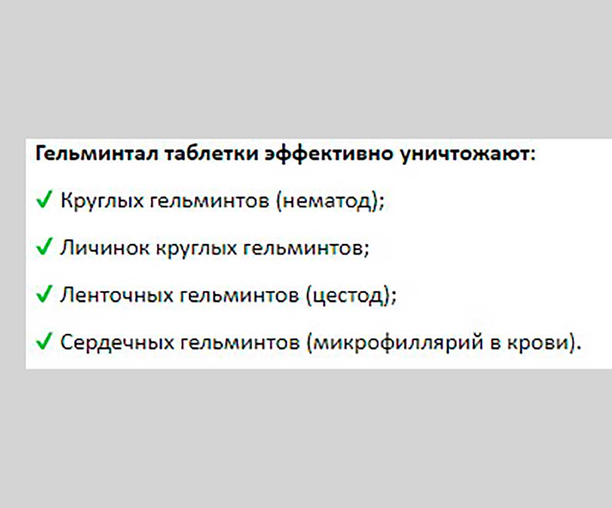 Гельминтал Таблетки От Глистов Для Собак Более 10кг E304 Neoterica (Неотерика)