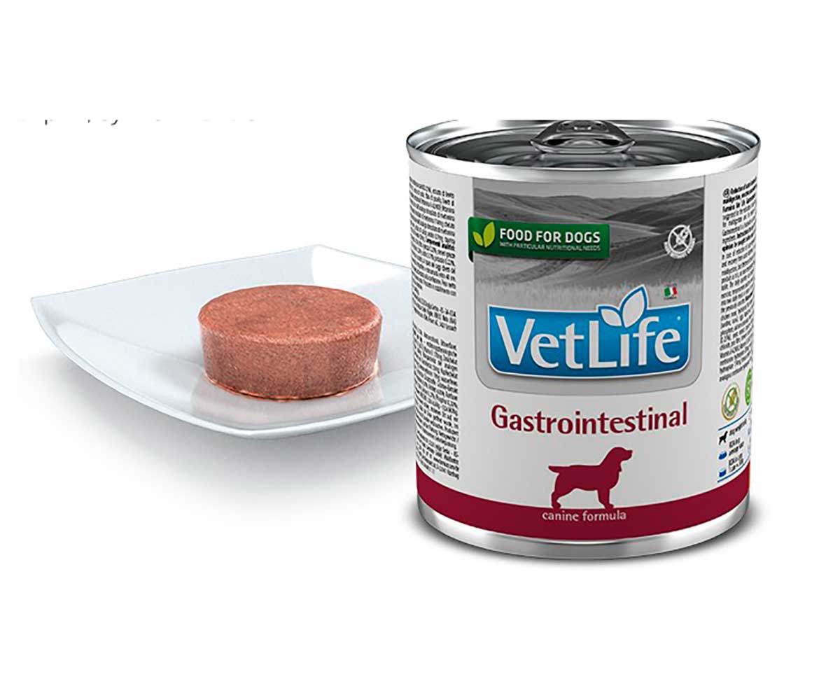 Лечебные Консервы Farmina (Фармина) Для Собак При Нарушениях Пищеварения Vet Life GastroIntestinal 300г