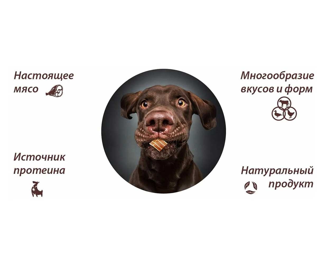 Лакомство Для Собак Мелких Пород и Щенков AlpenHof (АльпенХоф) Фрикасе Из Филе Утки 50г A502