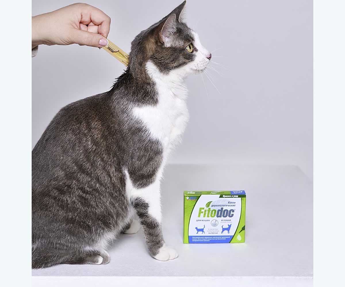 Fitodoc (Фитодок) Капли Дерматологические Для Мелких Пород Собак и Кошек АВЗ