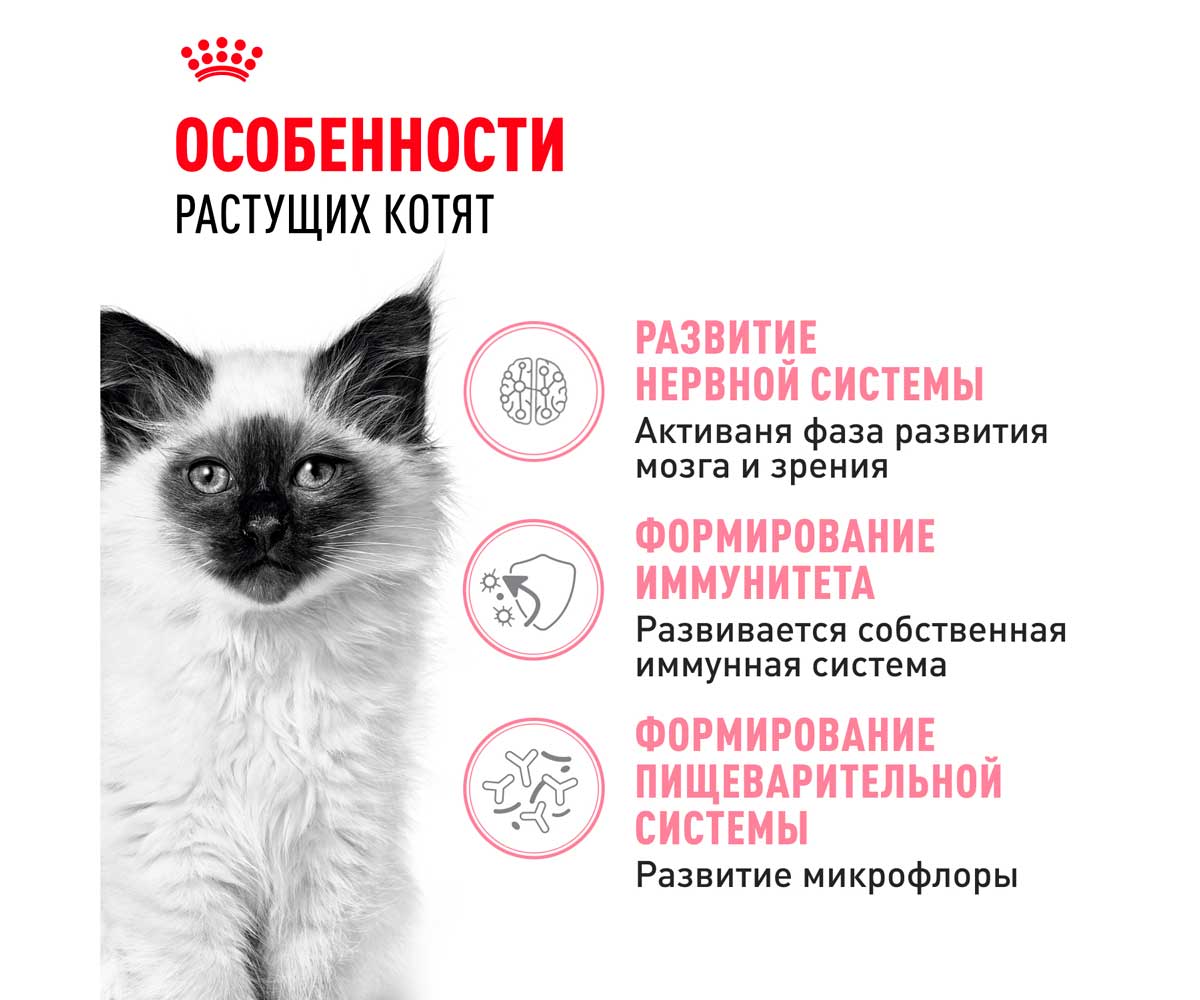 Сухой Корм Royal Canin (Роял Канин) Для Котят от 4 до 12 Месяцев Feline Health Nutrition Kitten 36 300г