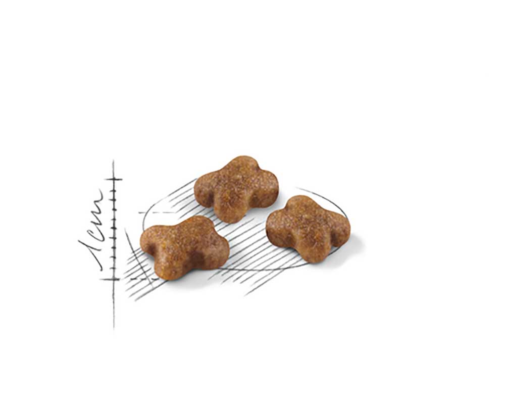 Сухой Корм Royal Canin (Роял Канин) Для Котят от 4 до 12 Месяцев Feline Health Nutrition Kitten 36 1,2кг