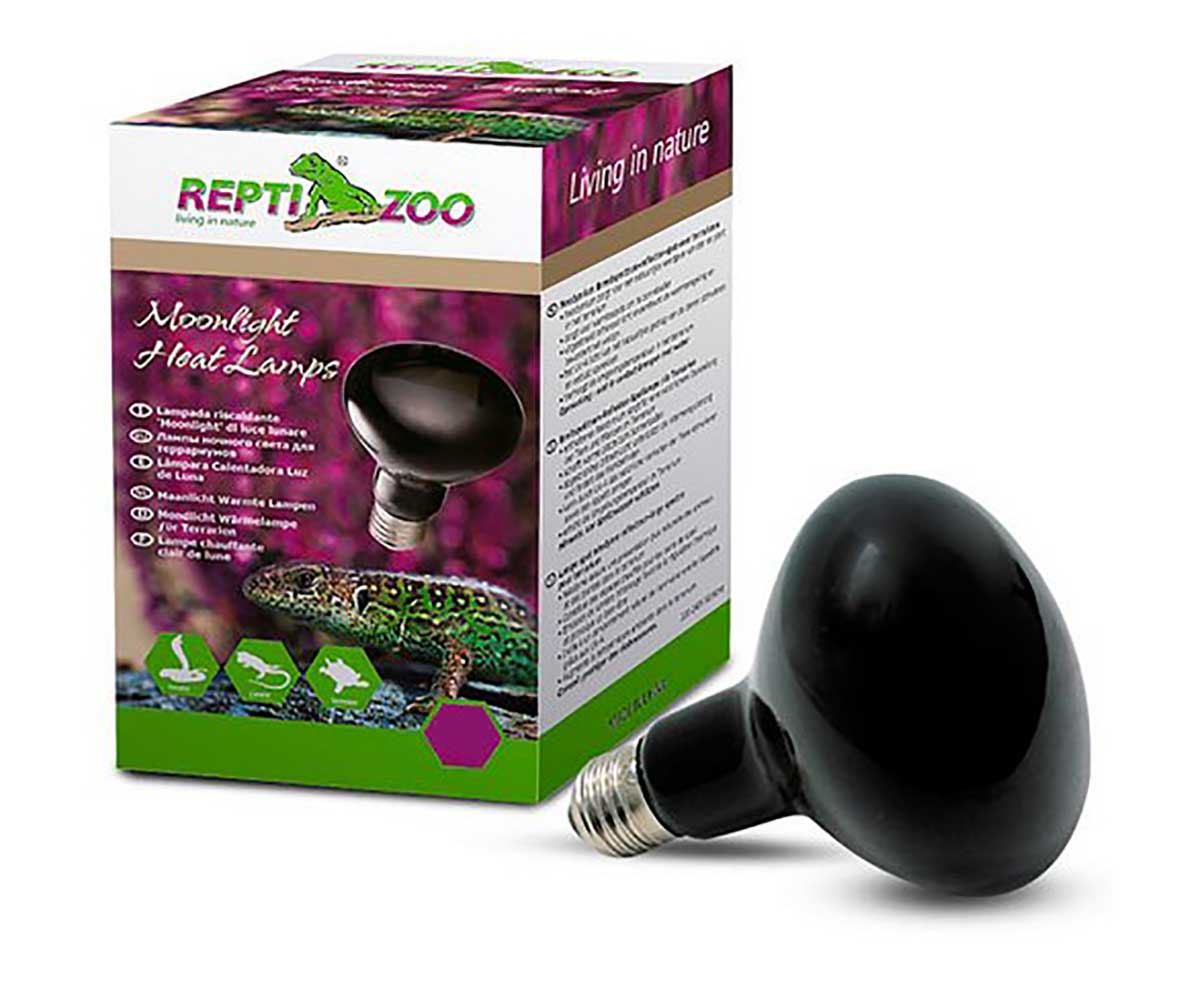 Лампа Для Террариума Repti Zoo Reptinightglow 100Вт Ночная D80100 83725016