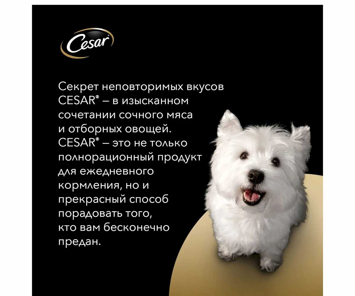Влажный Корм Cesar (Цезарь) Для Собак Тушеная Телятина и Овощи в Соусе 85г (1*28)