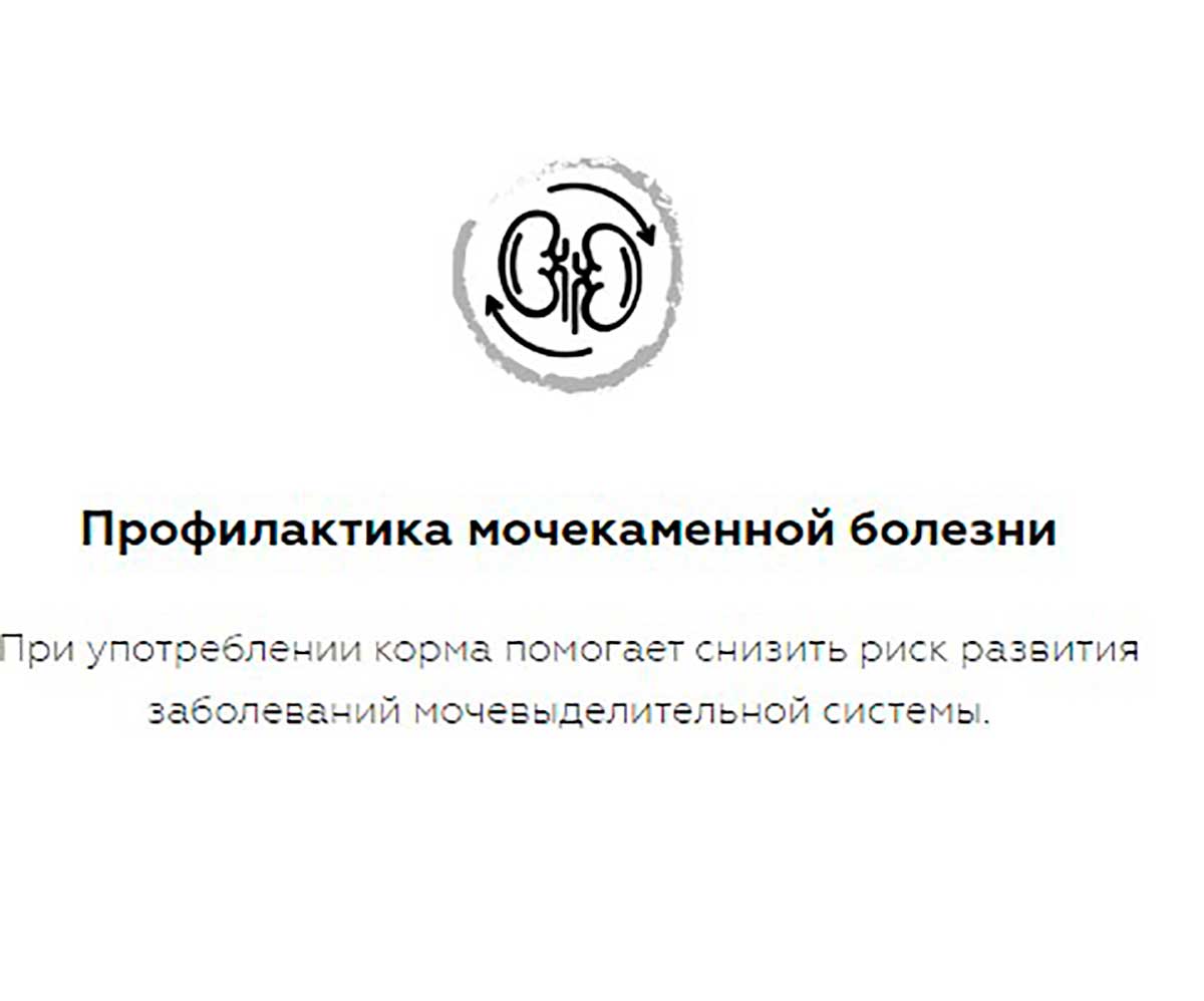 Влажный Корм Karmy (Карми) Для Стерилизованных Кошек Курица в Желе Sterilized 80г (1*24)