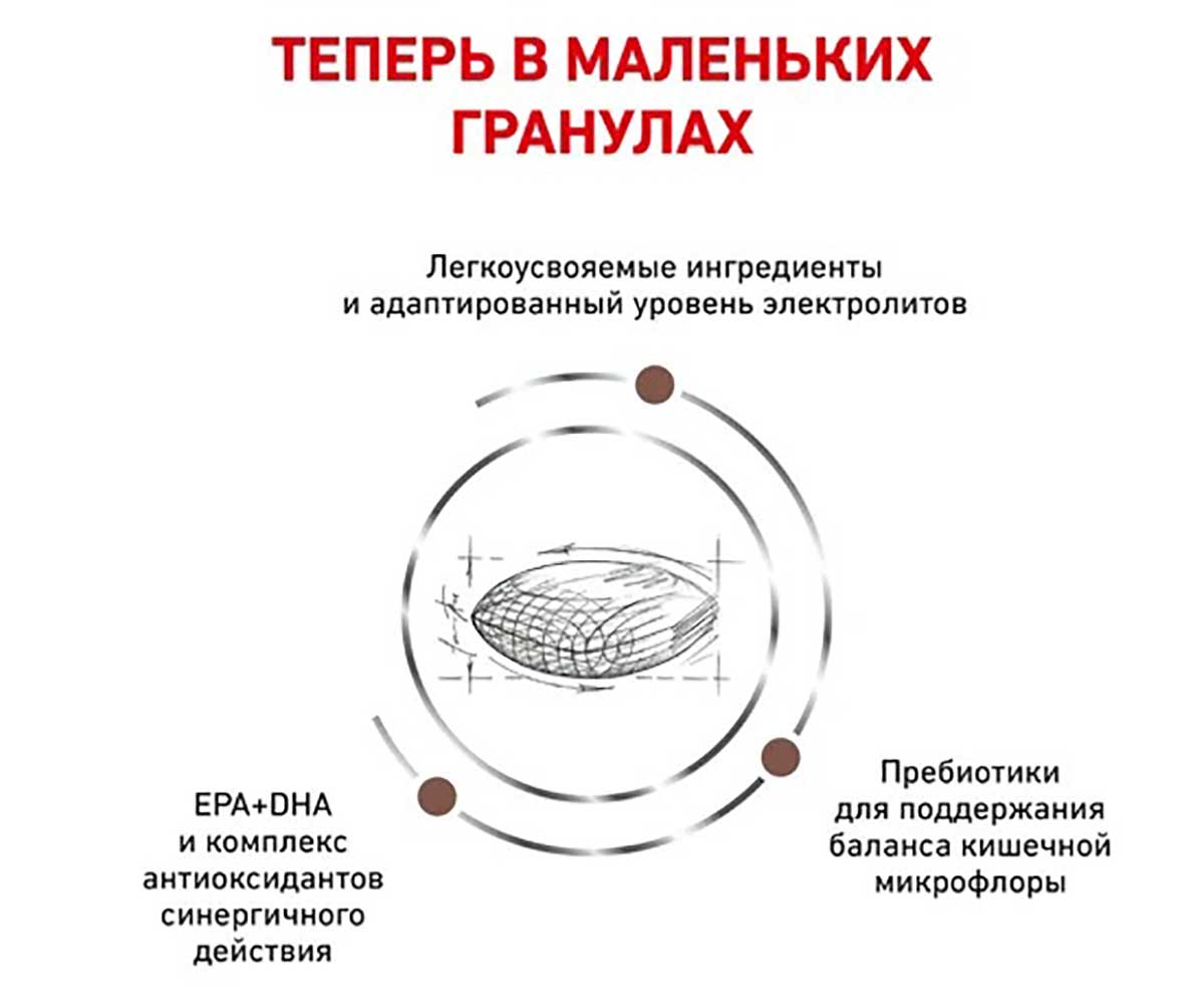 Лечебный Сухой Корм Royal Canin (Роял Канин) Для Собак Мелких Пород При Заболеваниях ЖКТ с Пониженным Содержанием Жиров Gastro Intestinal Low Fat LF22 Small Dog S 1кг