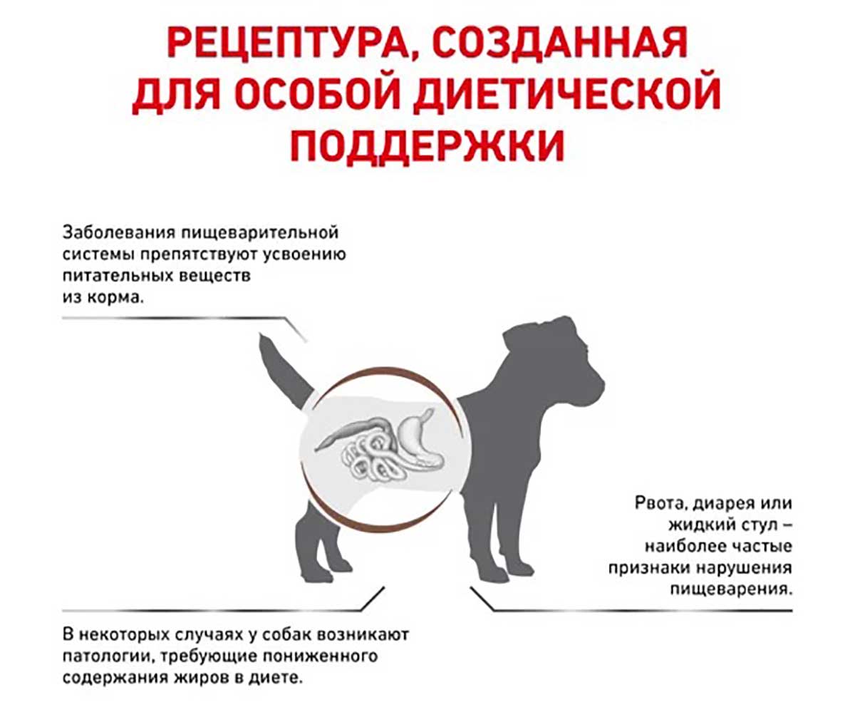 Лечебный Сухой Корм Royal Canin (Роял Канин) Для Собак Мелких Пород При Заболеваниях ЖКТ с Пониженным Содержанием Жиров Gastro Intestinal Low Fat LF22 Small Dog S 1кг