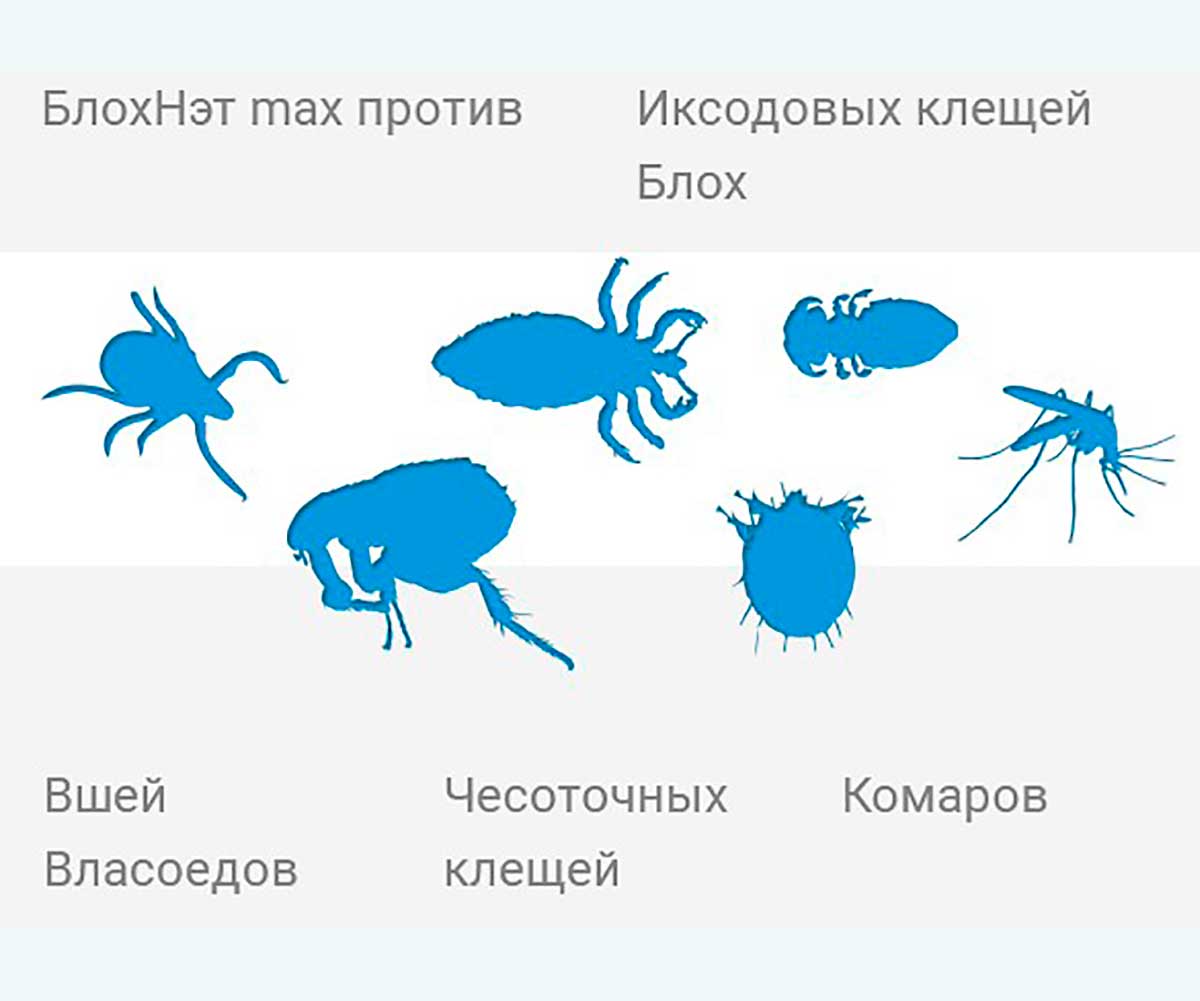 Блохнет Спрей От Блох и Клещей Для Собак и Кошек 125мл