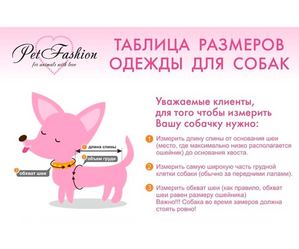 Дождевик Для Собак Мелких Пород Звезда 18 Девочка Синий Pet Fashion (Пет Фешн)