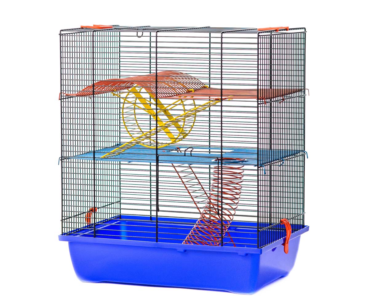 Клетка Для Грызунов Inter-Zoo (Интер-Зоо) Gino II+Equipment 42*29*49см 046