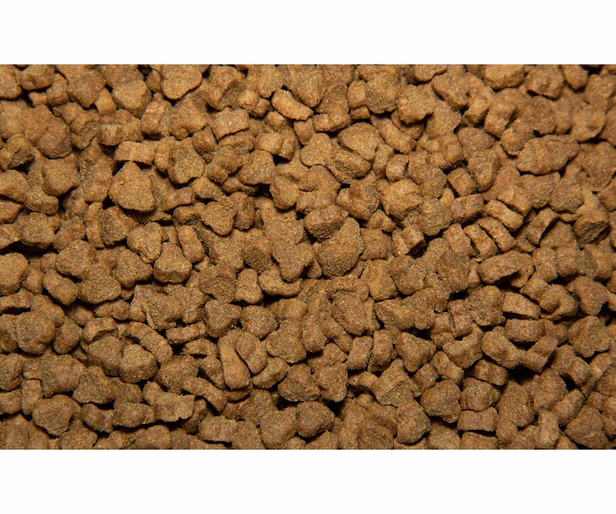 Сухой Корм All Cats (Олл Кэтс) Для Кошек Говядина и Овощи 2,4кг (1*5)