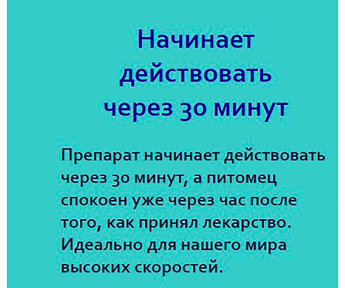 Экспресс Успокоин Успокоительный Препарат Для Собак Средних и Крупных Пород 6 Таблеток