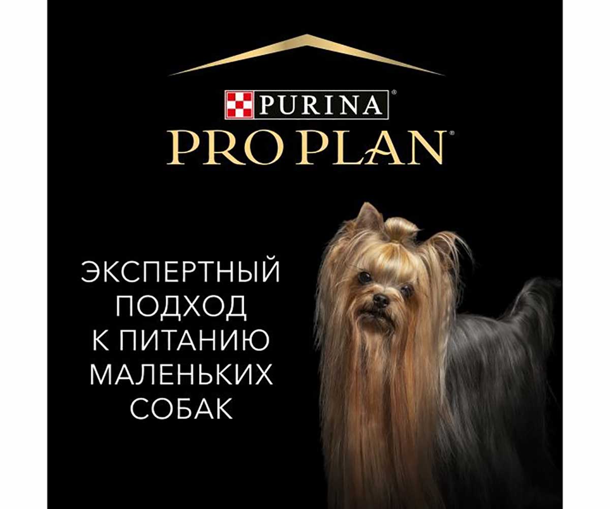 Влажный Корм ProPlan (ПроПлан) Для Собак Мелких Пород Говядина в Соусе Adult Beef 85г (1*24)