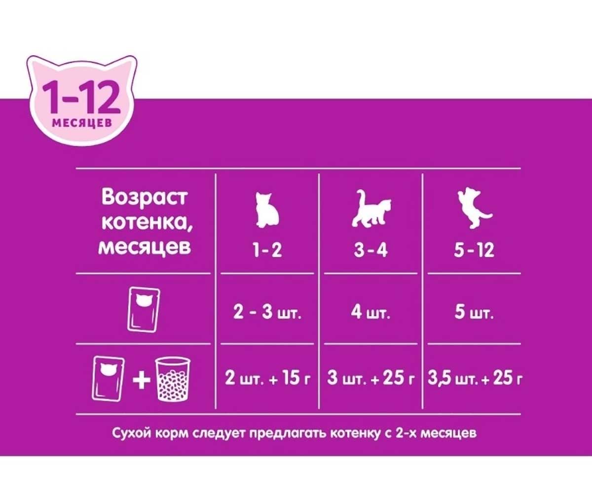 Влажный Корм Whiskas (Вискас) Для Котят Курица Паштет 75г (1*28)
