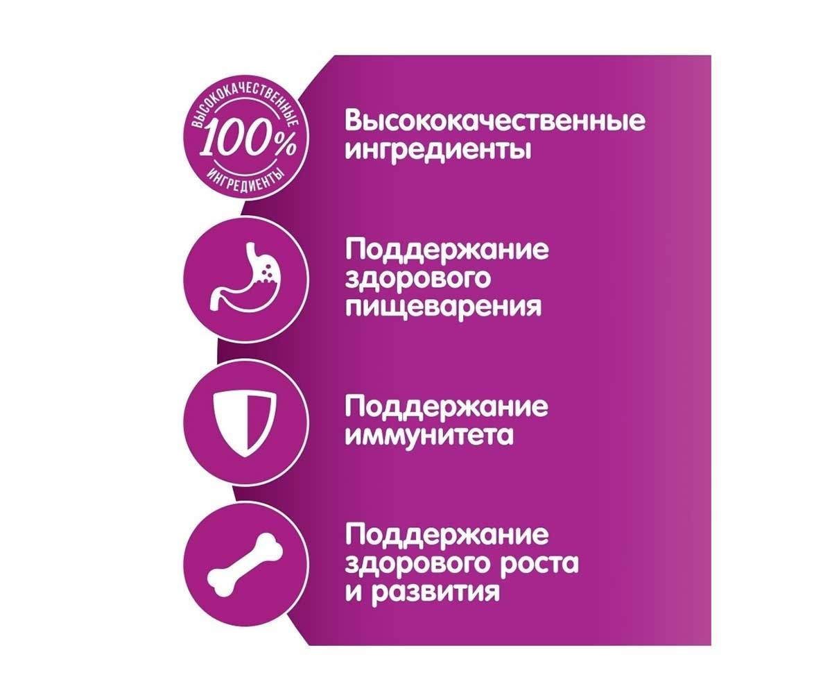 Влажный Корм Whiskas (Вискас) Для Котят Курица Рагу 75г (1*28)