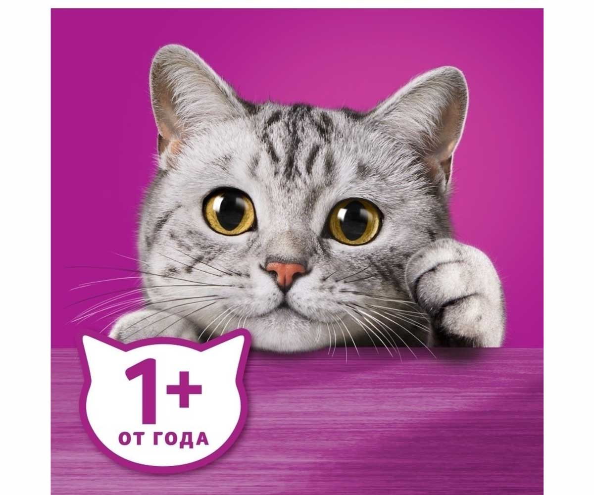 Влажный Корм Whiskas (Вискас) Для Кошек Курица и Индейка Паштет 75г (1*28)