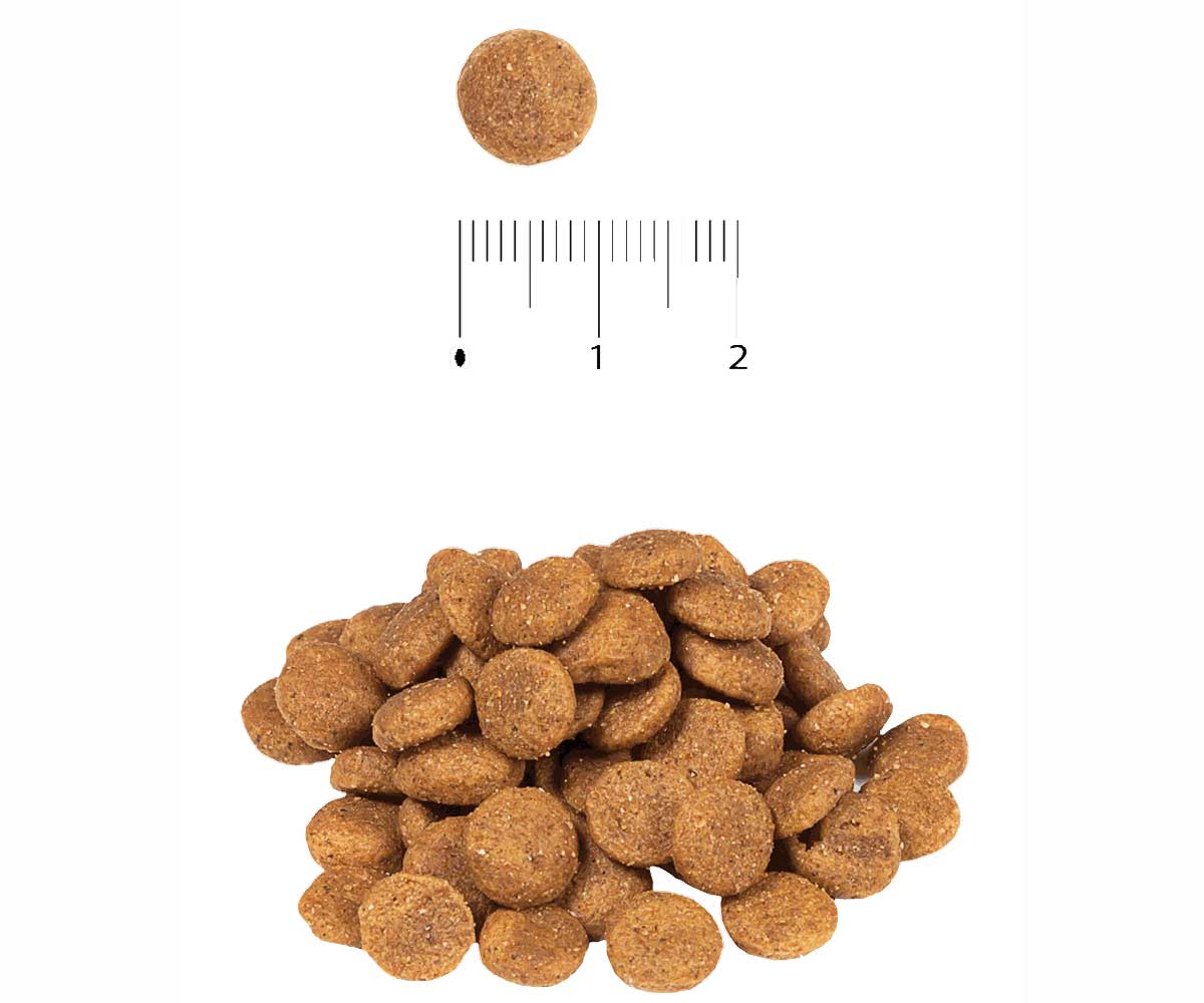 Сухой Корм Blitz (Блиц) Для Собак Мелких Пород Classic Mini & Toy Breeds Dog All Life Stages 2кг 680528