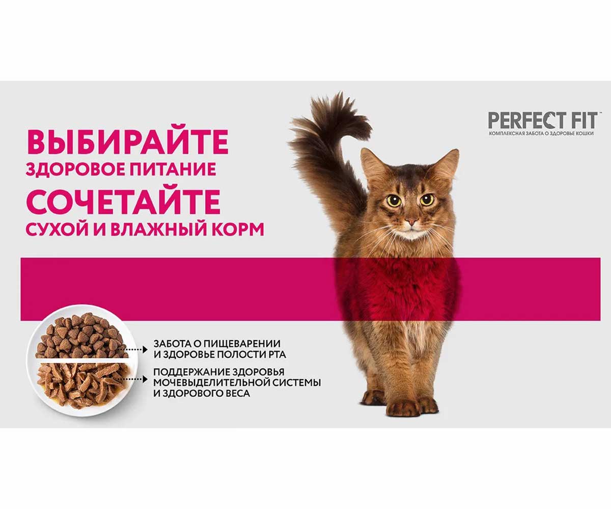 Влажный Корм Perfect Fit (Перфект Фит) Для Стерилизованных Кошек Говядина Паштет 75г (1*28)
