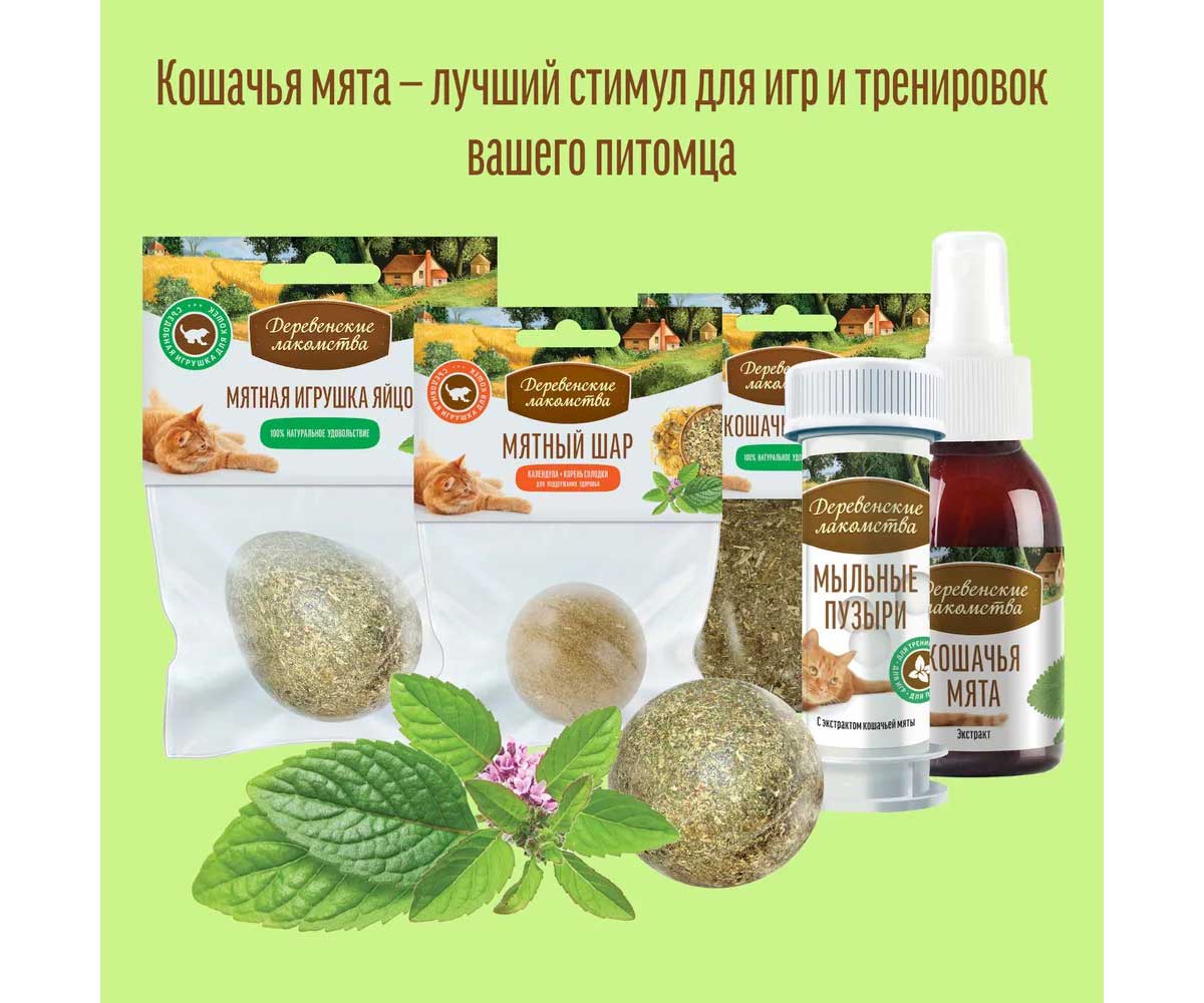 Деревенские Лакомства Экстракт Кошачьей Мяты Двойная Сила 100мл 72970025