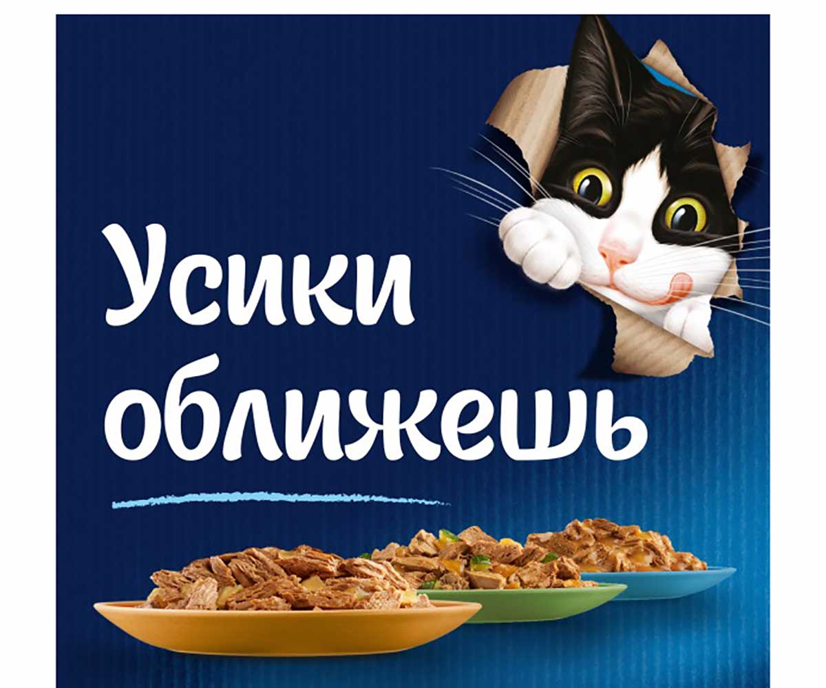 Влажный Корм Felix (Феликс) Для Кошек Мясные Ломтики Курица Пауч 75г (1*26)