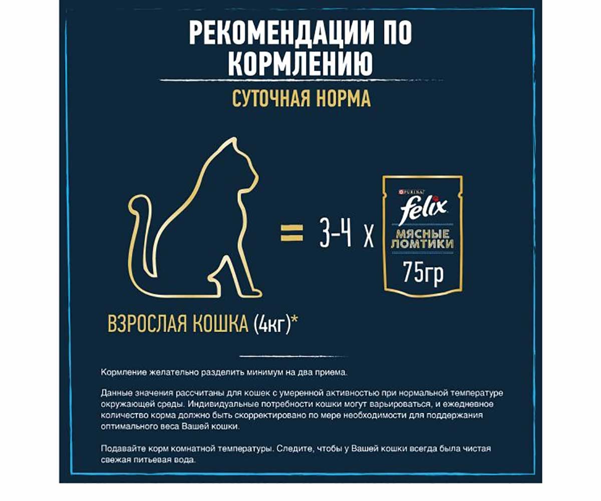 Влажный Корм Felix (Феликс) Для Кошек Мясные Ломтики Говядина Пауч 75г (1*26)