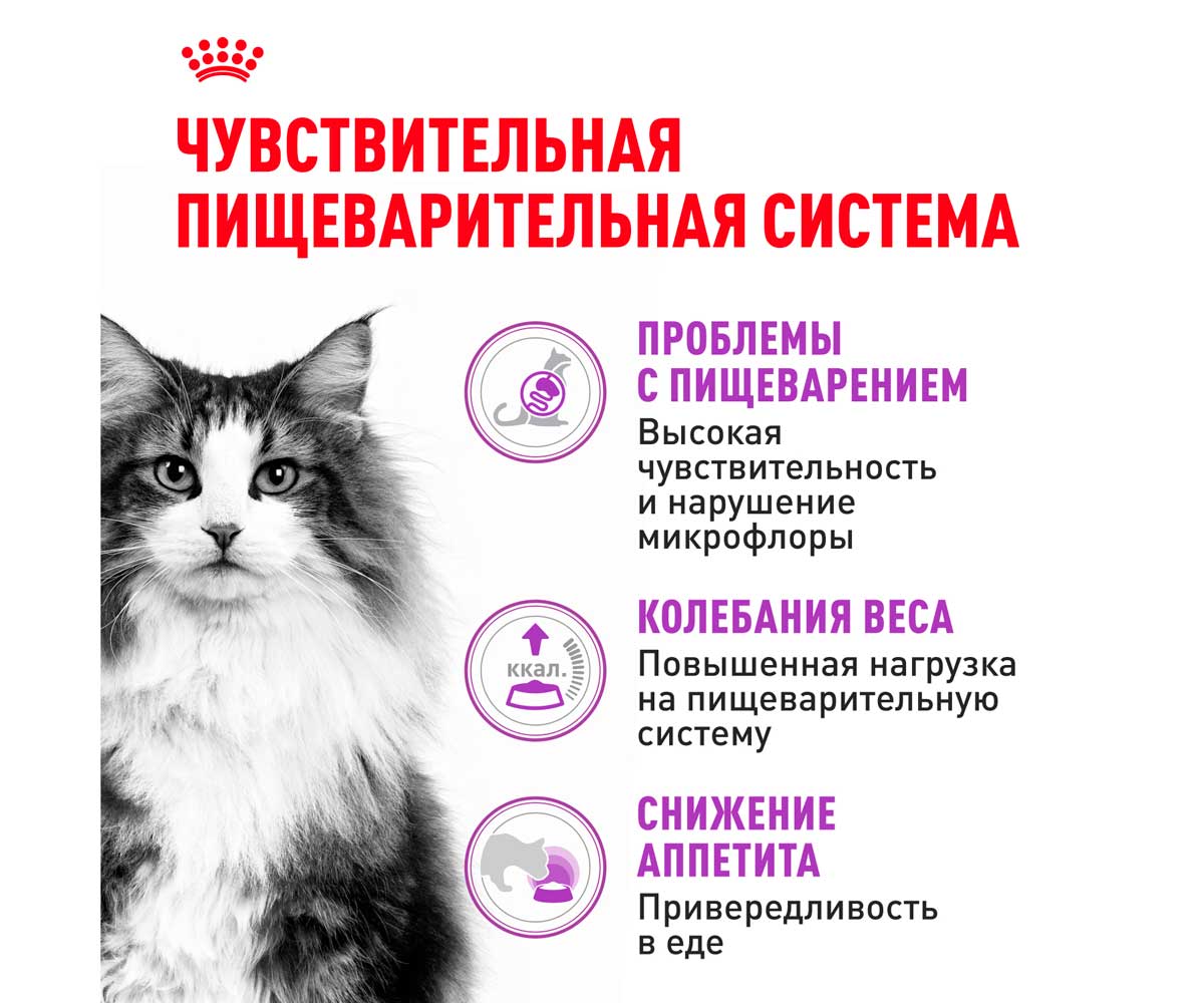 Сухой Корм Royal Canin (Роял Канин) Для Кошек с Чувствительным Пищеварением Feline Health Nutrition Sensible 33 200г