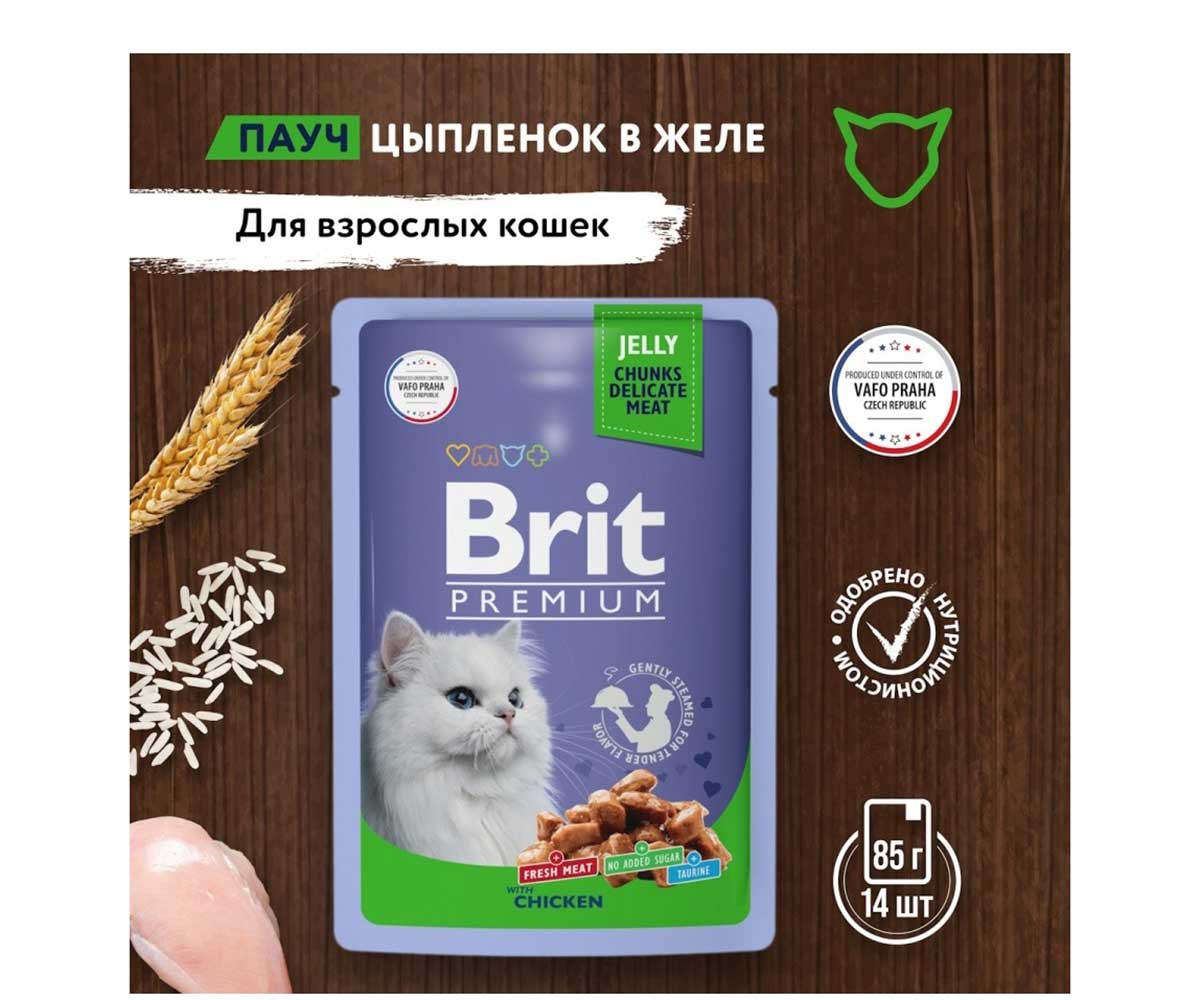 Влажный Корм Brit (Брит) Для Кошек Цыпленок в Желе Premium 85г (1*24) 5050161