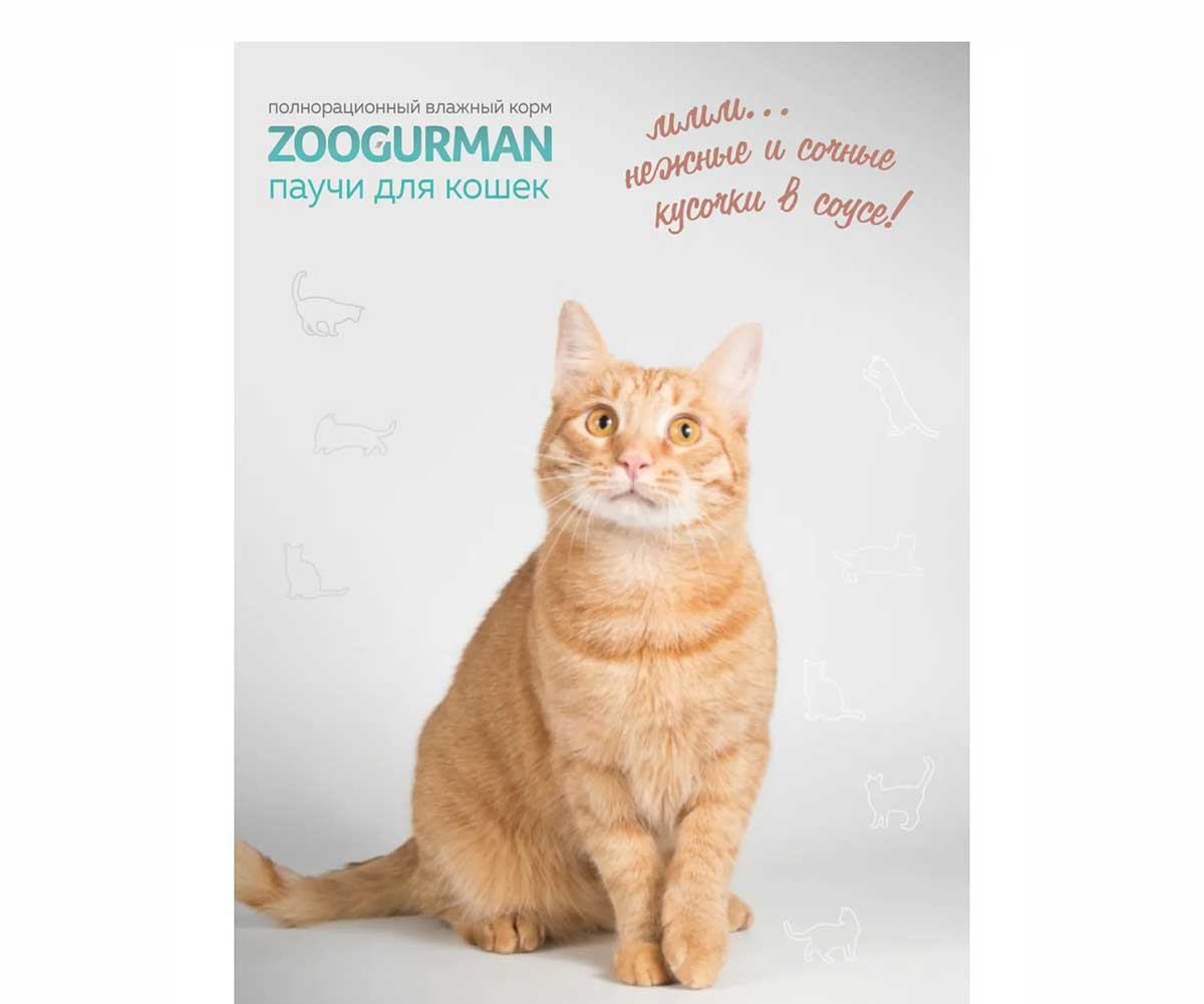 Влажный Корм Zoogurman (Зоогурман) Для Стерилизованных Кошек Океаническая Рыба Кусочки в Соусе 85г 7903