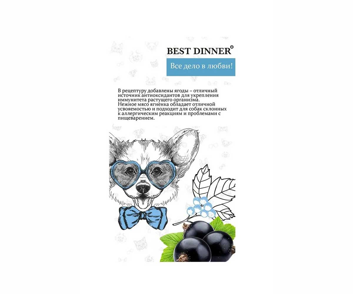 Сухой Корм Best Dinner (Бест Диннер) Для Щенков с Чувствительным Пищеварением Ягненок и Ягоды Dog Puppy Sensible 1,5кг