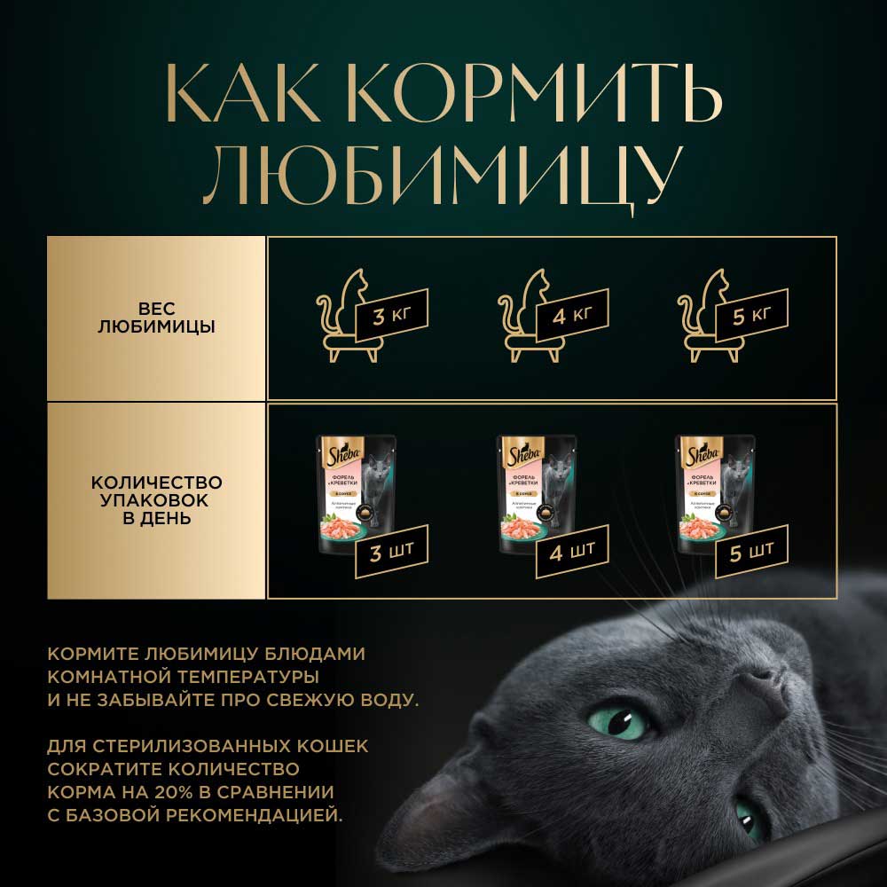 Влажный Корм Sheba (Шеба) Для Кошек Форель и Креветки 75г (1*28)