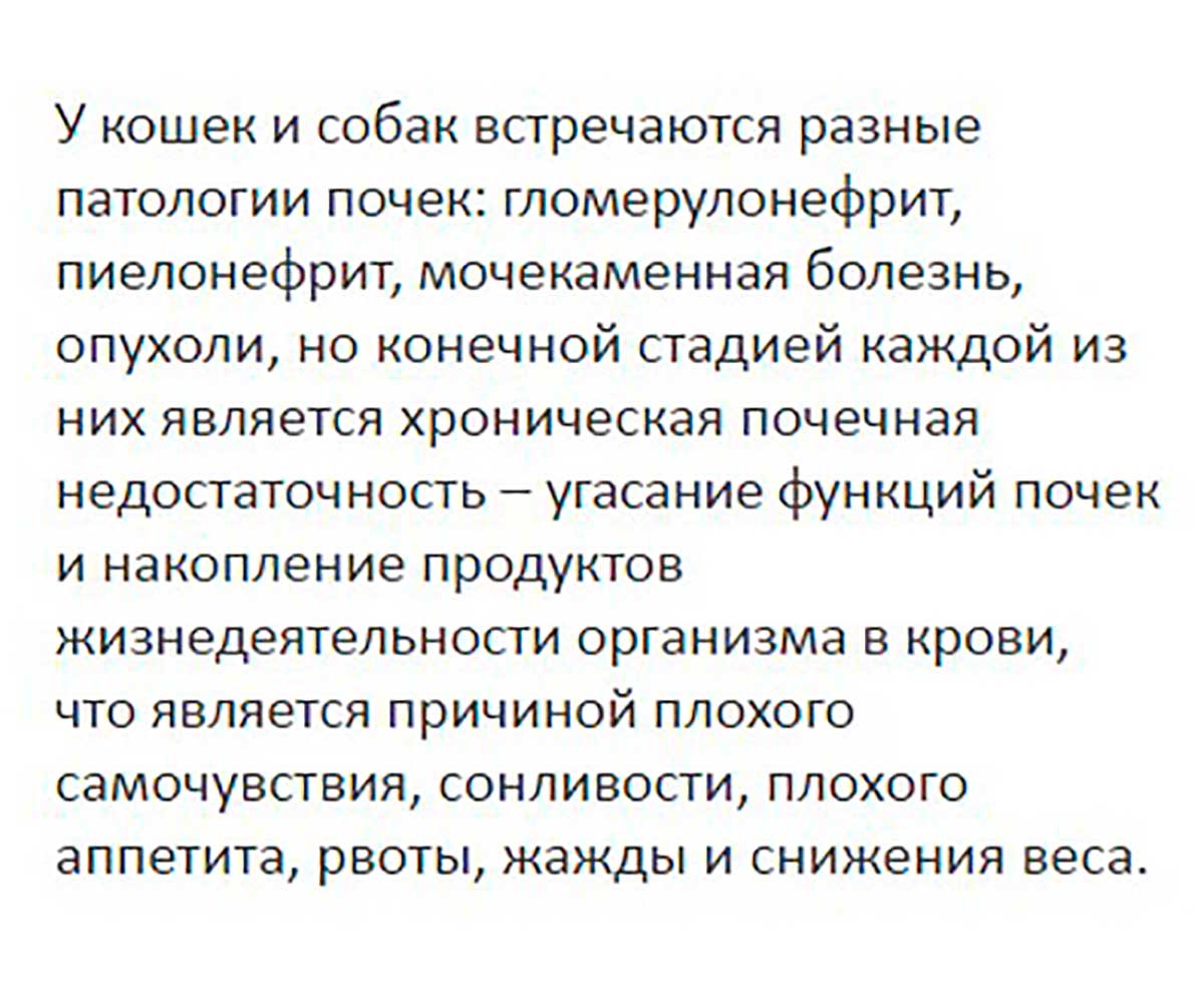 Нефроланвет Паста  Для Кошек и Собак Для Поддержания Функции Почек 75мл