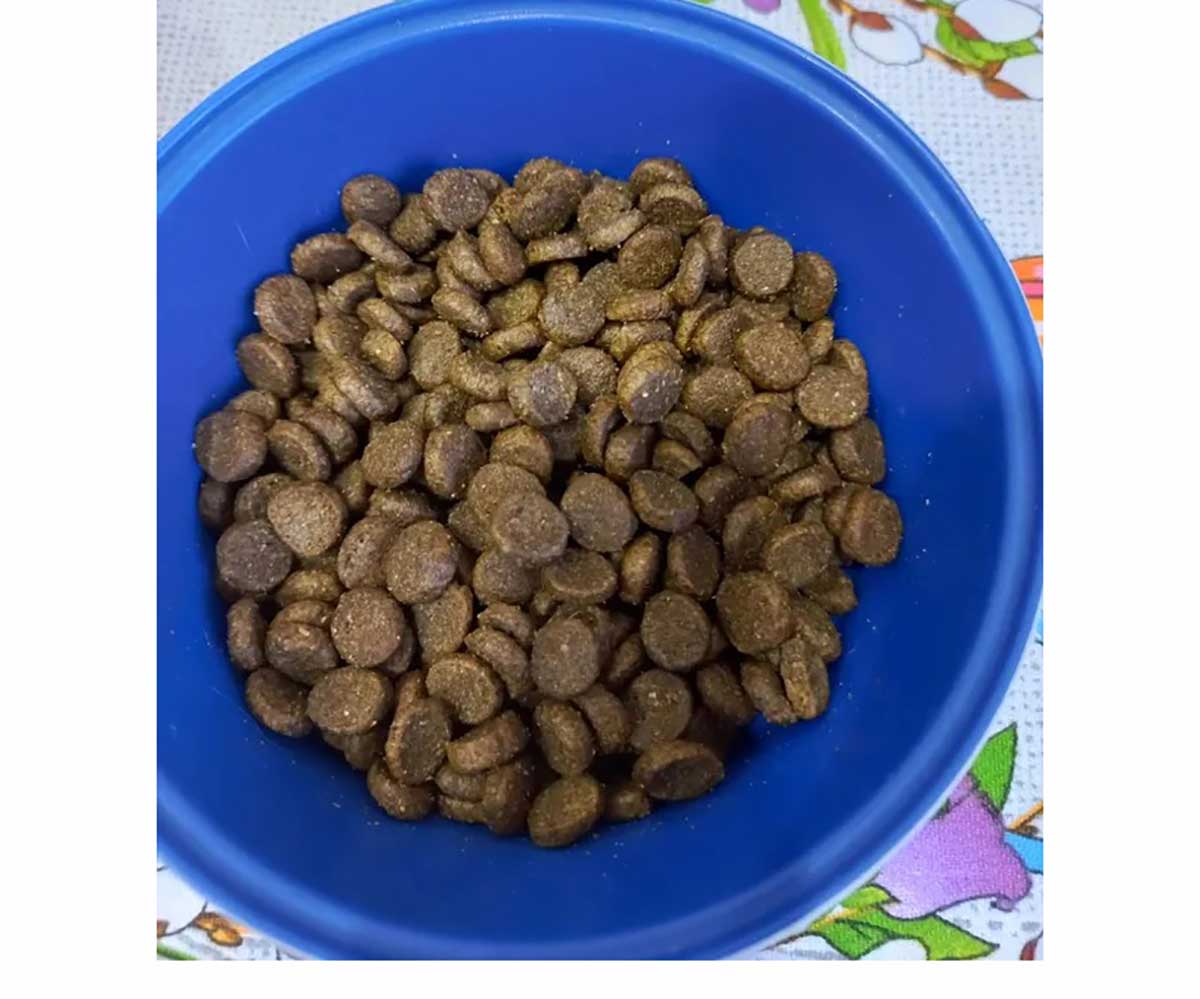 Сухой Корм Brit (Брит) Для Кошек Курица Premium Cat Adult 400г 5049073