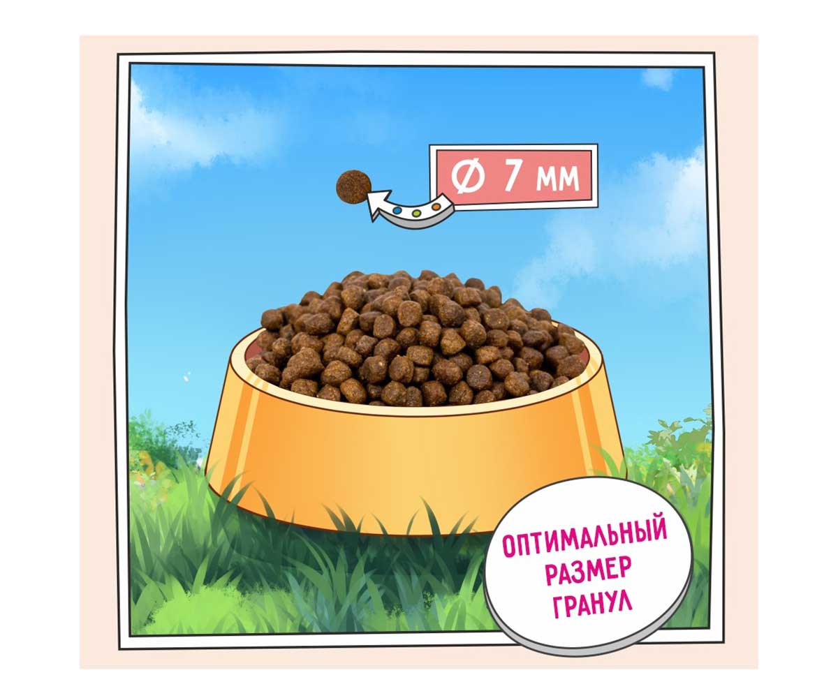 Сухой Корм Zilli (Зилли) Для Котят Индейка и Ягненок Kitten 10кг 5658103