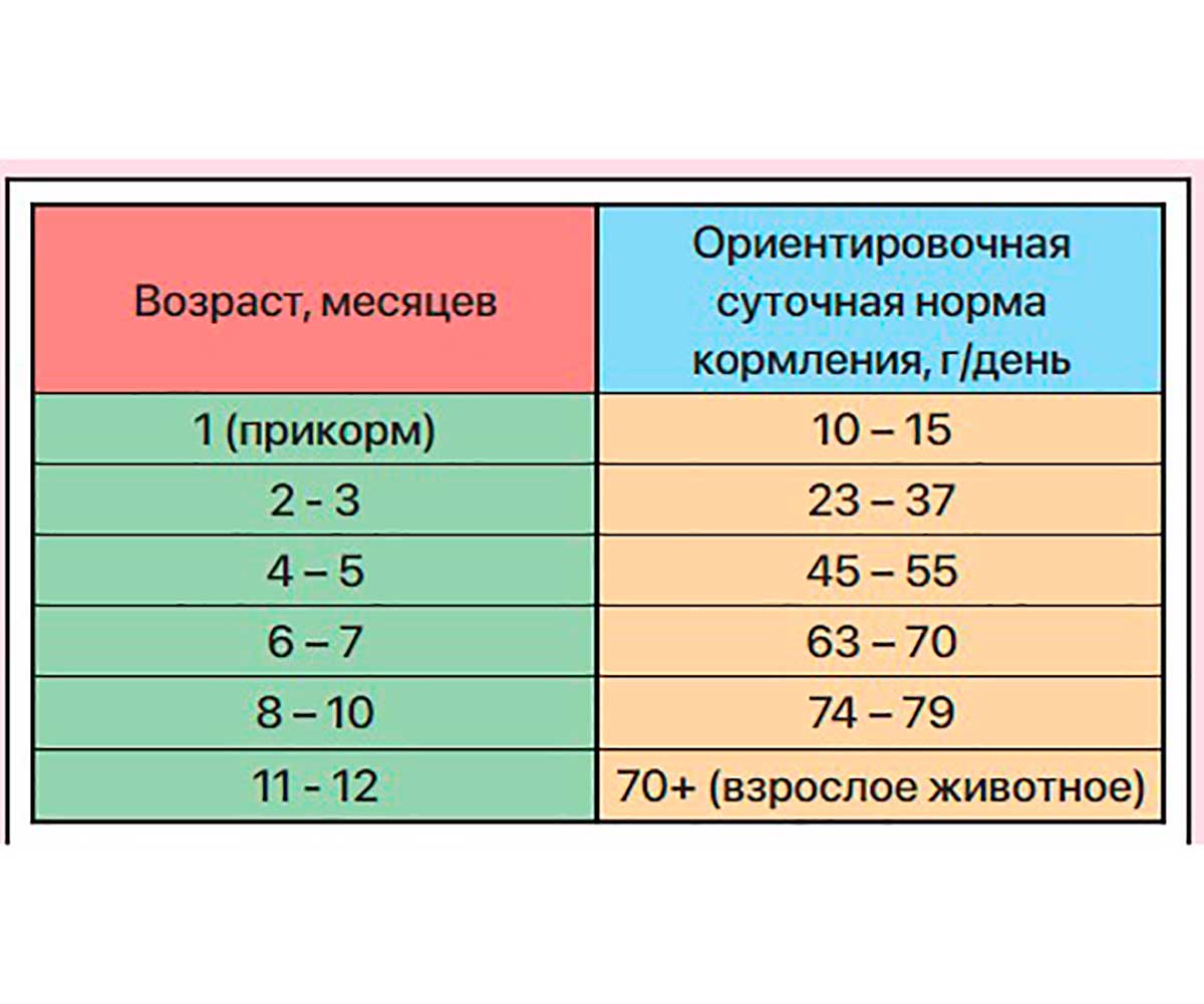 Сухой Корм Zilli (Зилли) Для Котят Индейка и Ягненок Kitten 10кг 5658103