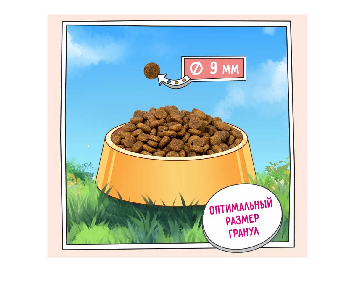 Сухой Корм Zillii (Зилли) Для Кошек Стерилизованных Белая Рыба и Лосось Adult Cat Light/Sterillized 2кг 5658151 (1*6)