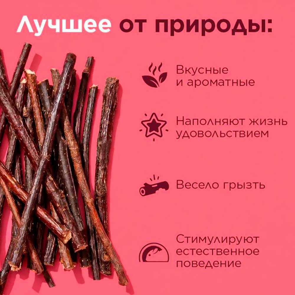 Лакомство Little One (Литтл Ван) Для Грызунов Лакомые Ветви Смородины 50г