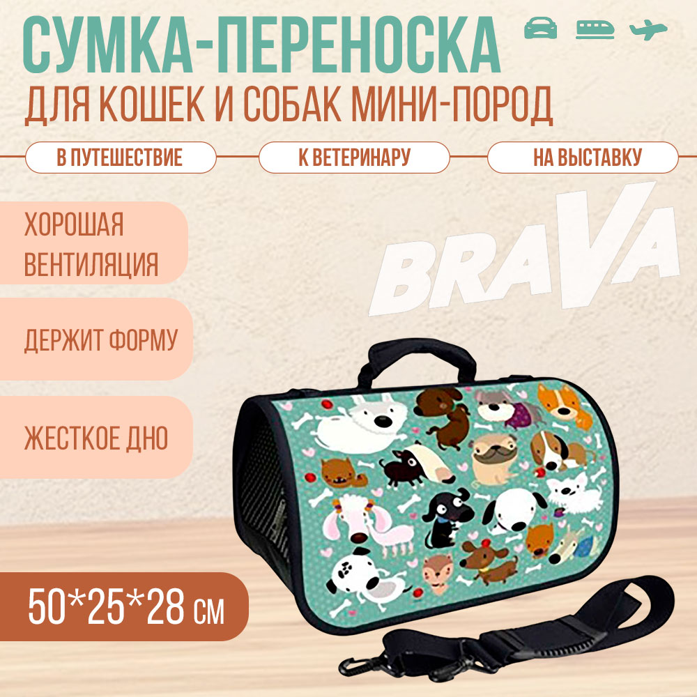 Сумка-Переноска Brava (Брава) Барбоскины Zd-3-86-322-3 50*25*28см