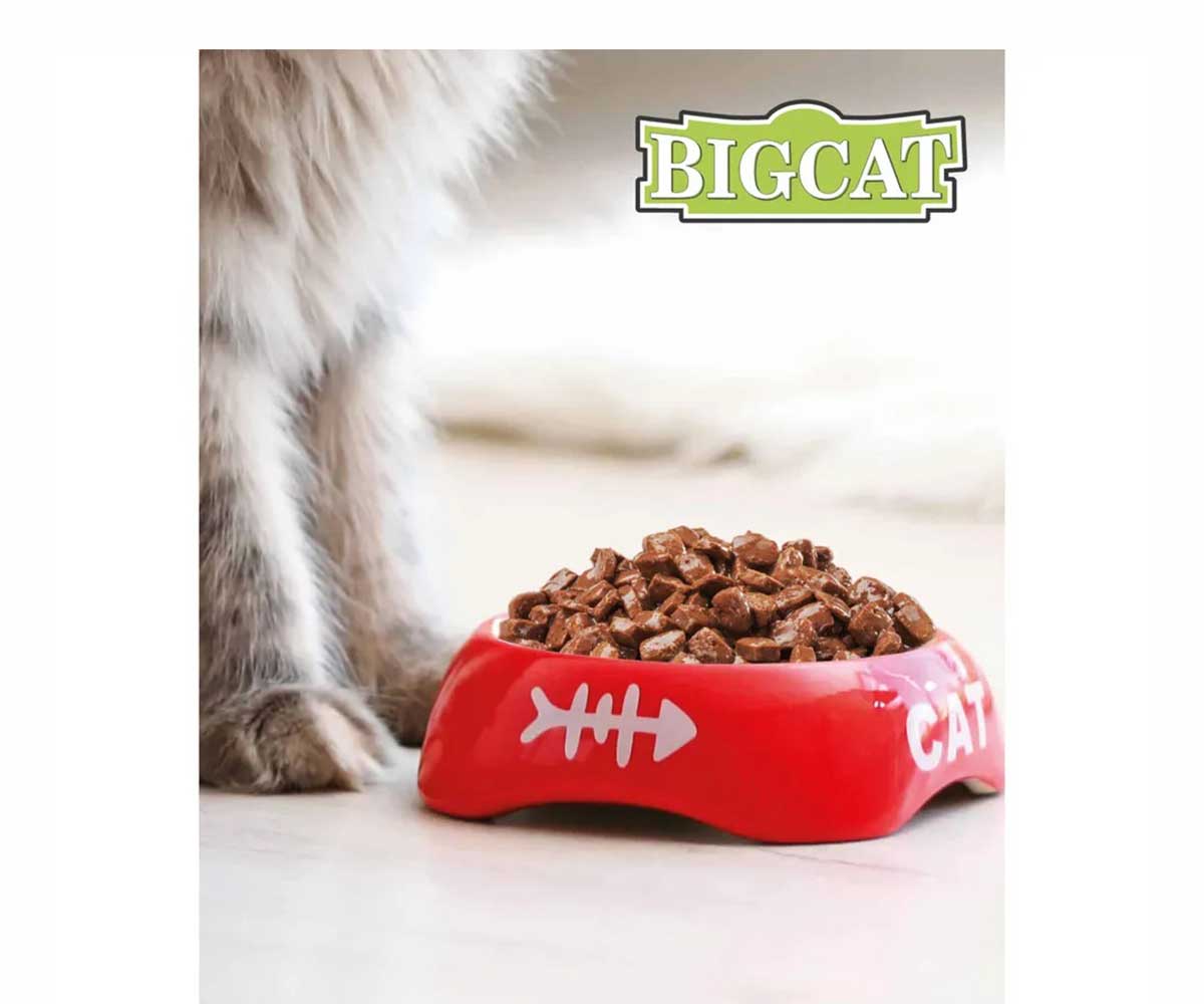 Консервы Zoogurman (Зоогурман) Для Кошек Мясное Ассорти Кусочки в Желе Big Cat 350г 7989