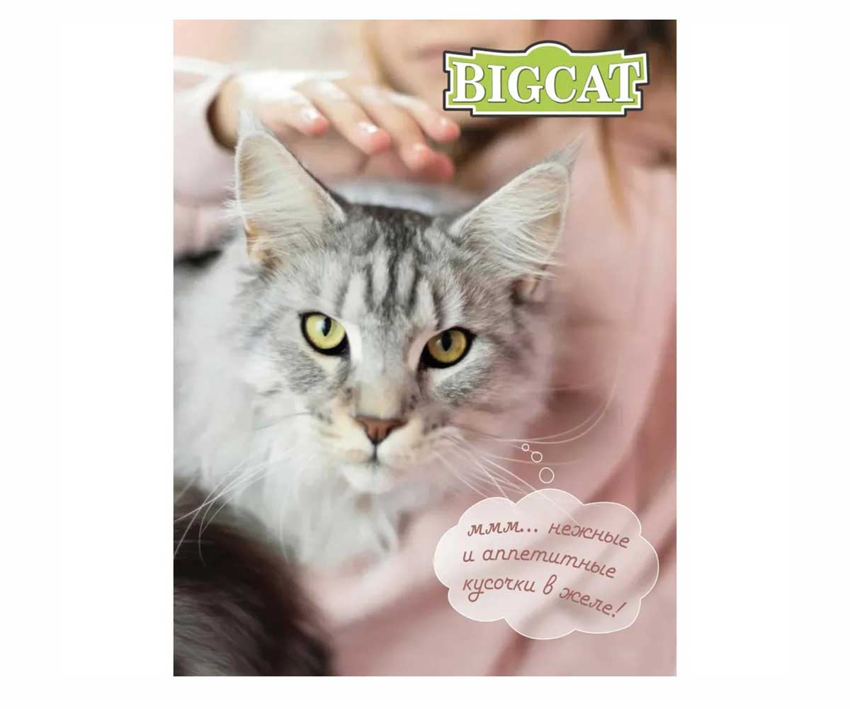 Консервы Zoogurman (Зоогурман) Для Кошек Мясное Ассорти Кусочки в Желе Big Cat 350г 7989