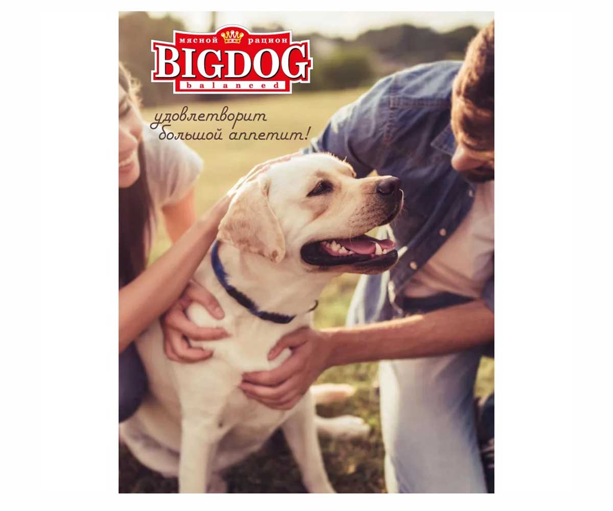 Консервы Zoogurman (Зоогурман) Консервы Для Собак Говядина и Рубец Big Dog 850г (1*9) 0539