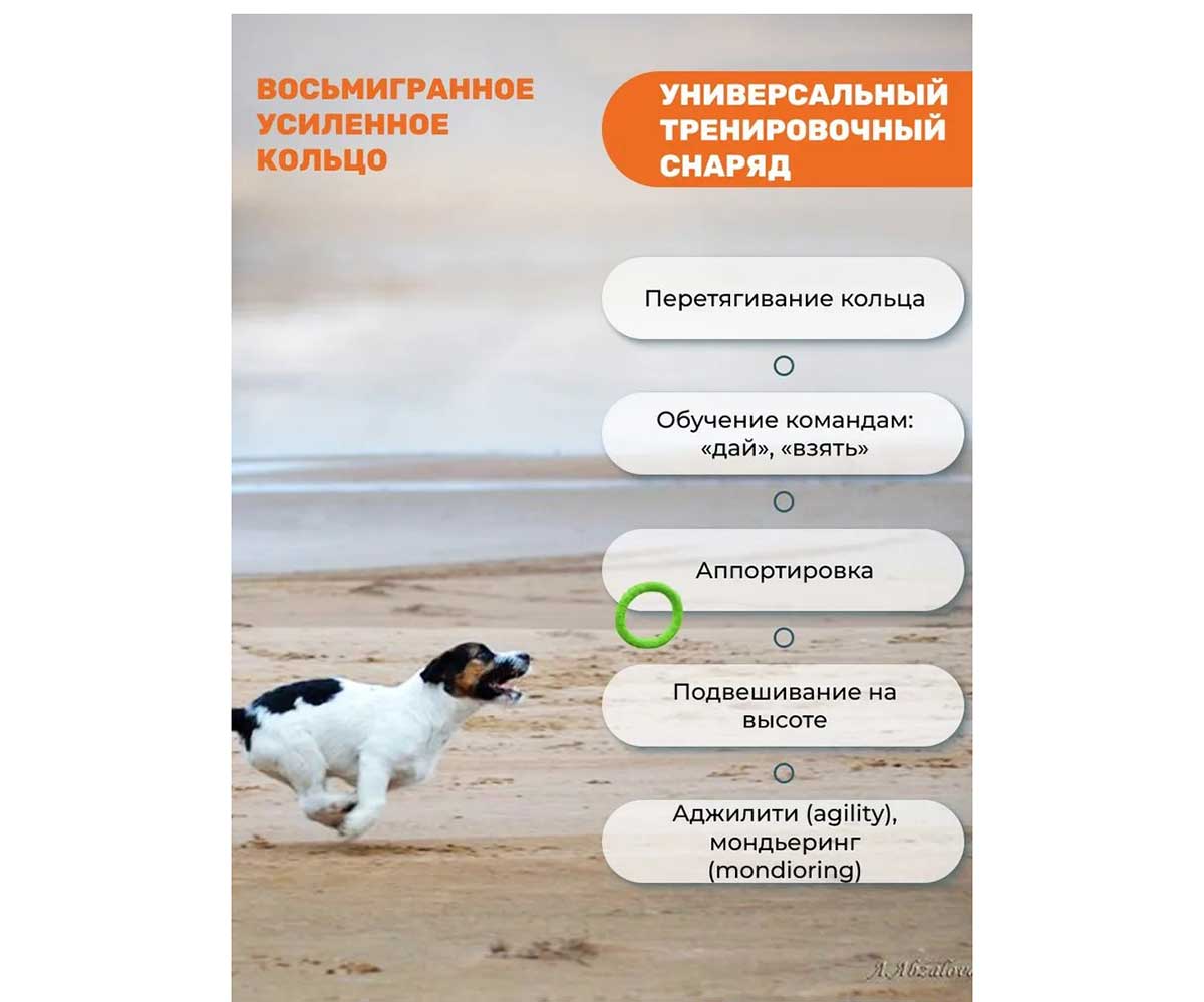 Игрушка Doglike (Доглайк) Для Собак Кольцо 8-Гранное Миниатюрное D-0393 Зеленый