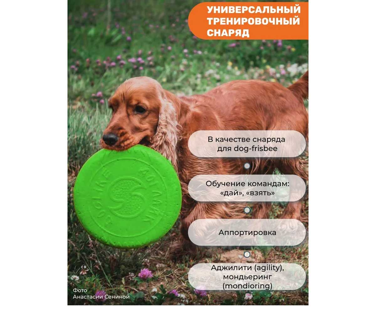 Игрушка Doglike (Доглайк) Тарелка Летающая Малая Dt-0400 Зеленый