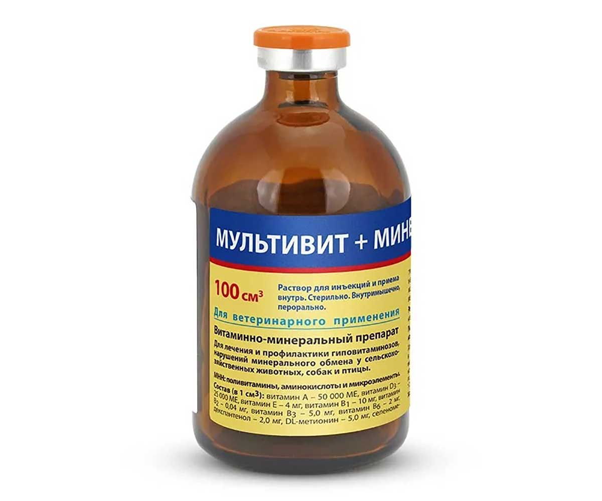 Витаминно-Минеральный Препарат Мультивит+Минералы 100мл