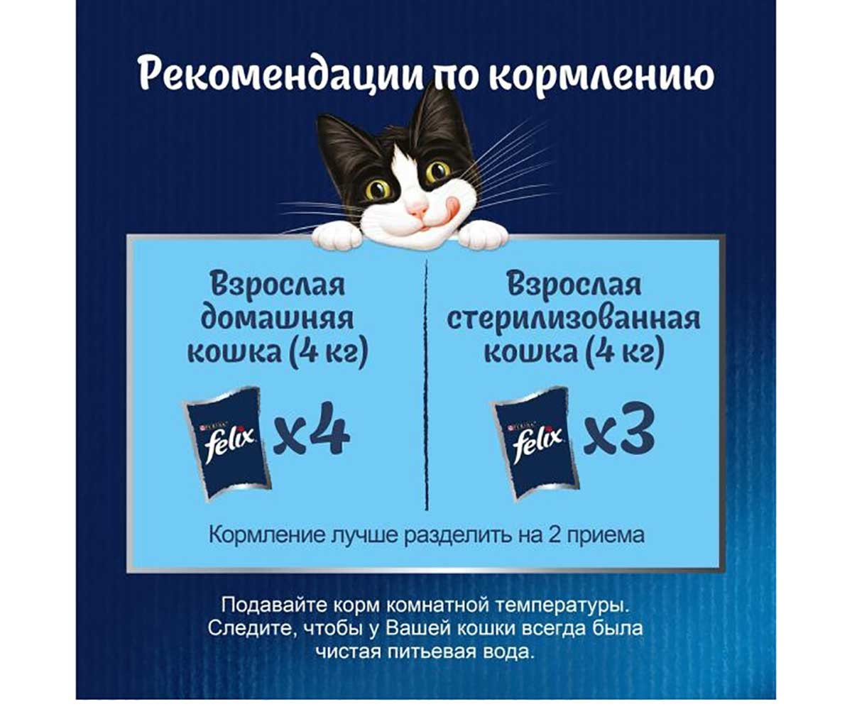Влажный Корм Felix (Феликс) Для Кошек Аппетитные Кусочки Форель 75г (1*26)
