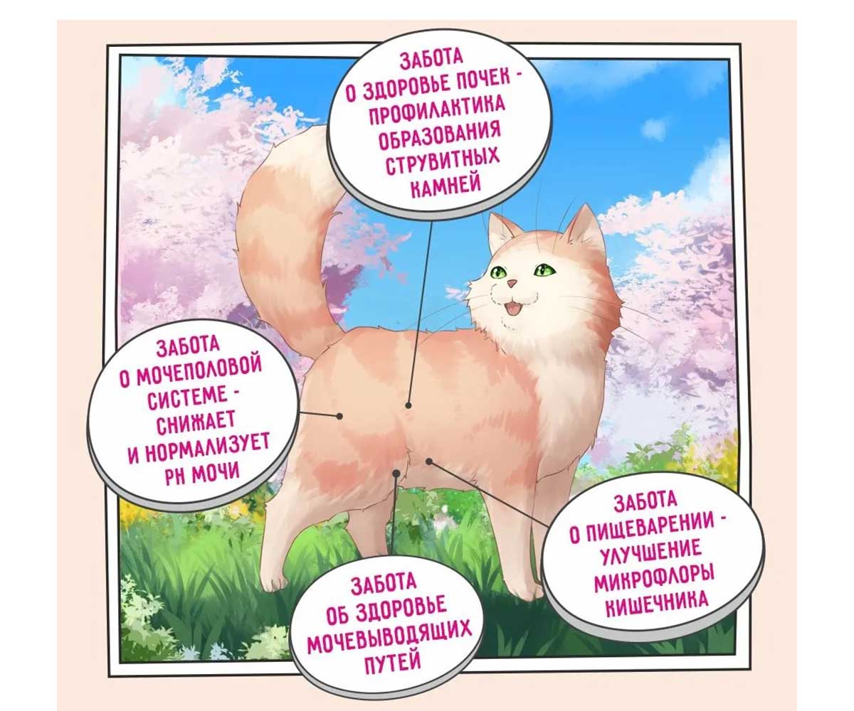 Сухой Корм Zillii (Зилли) Для Кошек Ph Контроль Индейка Urinary Care Cat 2кг 5658171