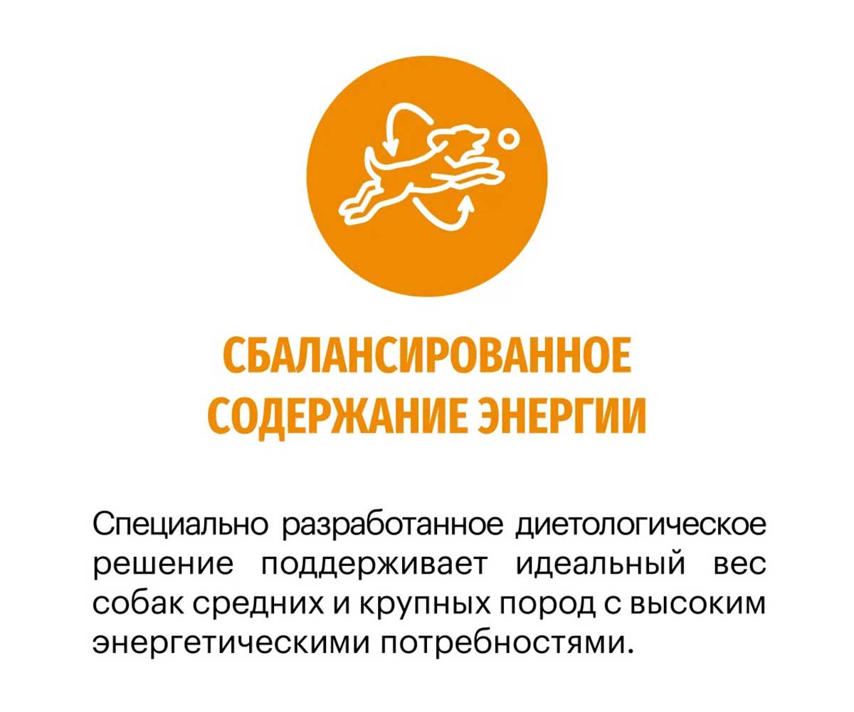 Сухой Корм Karmy (Карми) Для Собак Средних и Крупных Пород Индейка Active Medium & Maxi 14кг 7874
