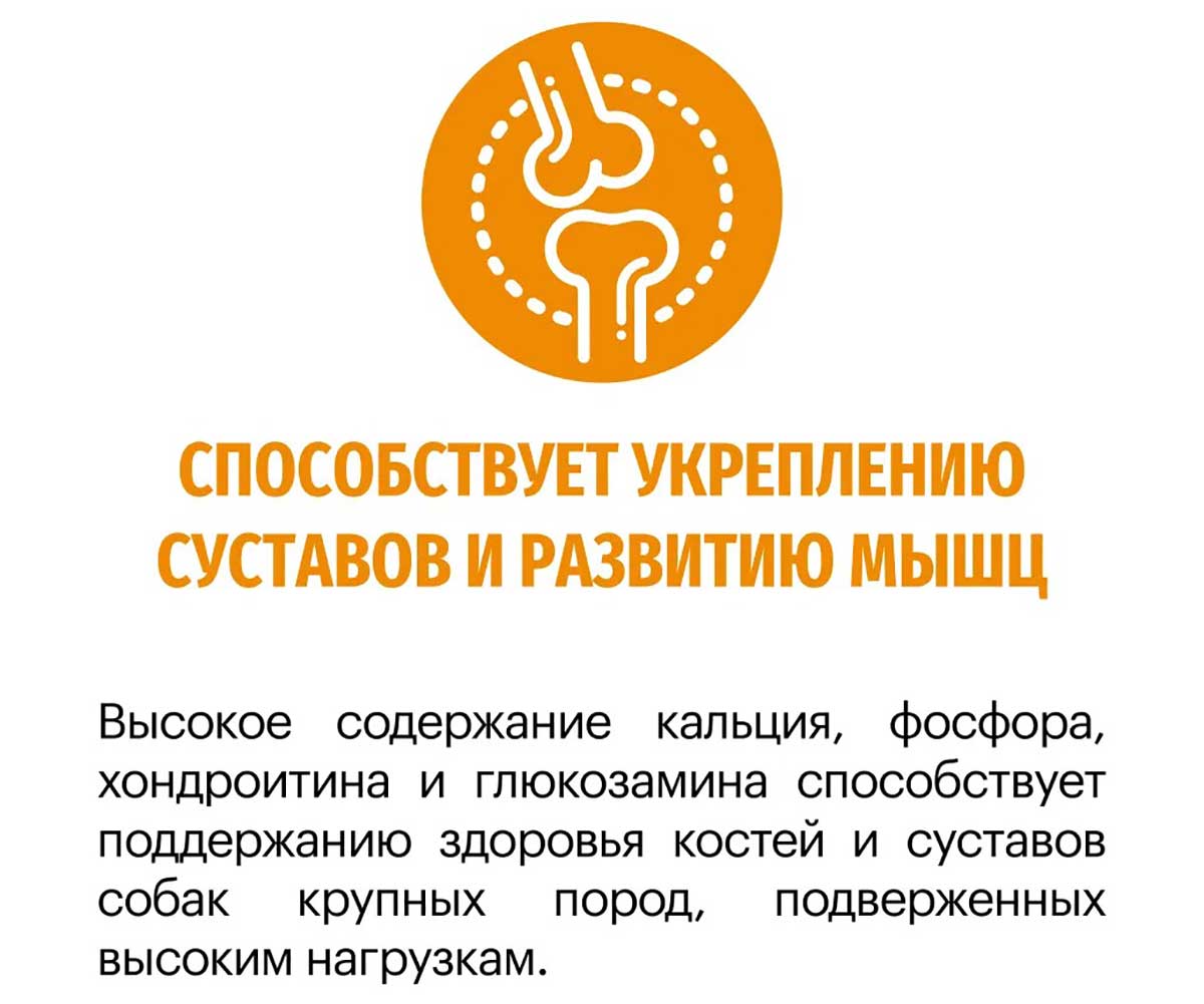 Сухой Корм Karmy (Карми) Для Собак Средних и Крупных Пород Индейка Active Medium & Maxi 14кг 7874